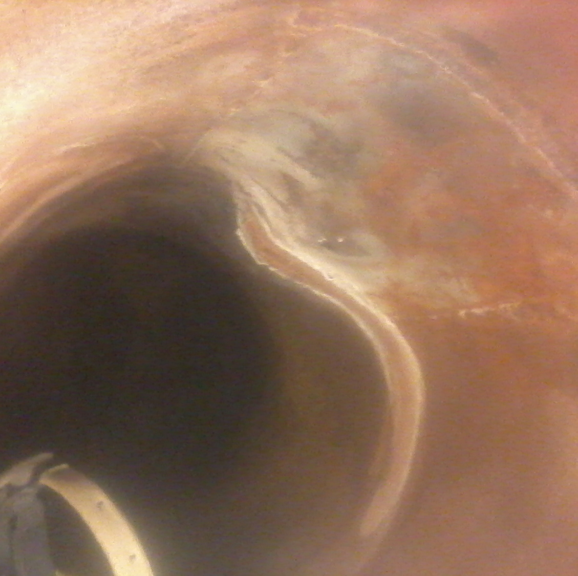 Замена жаровой трубы водогрейного жаротрубного котла, фото 2